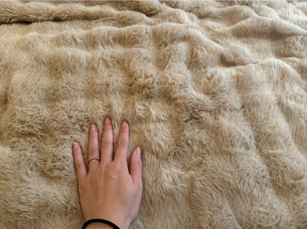 HAGOOGI　電気毛布